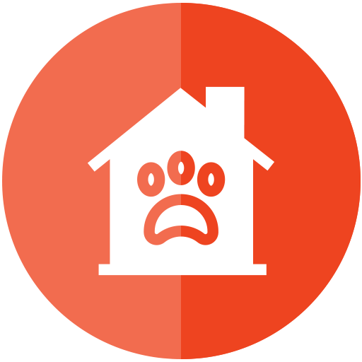 Dog Boarding